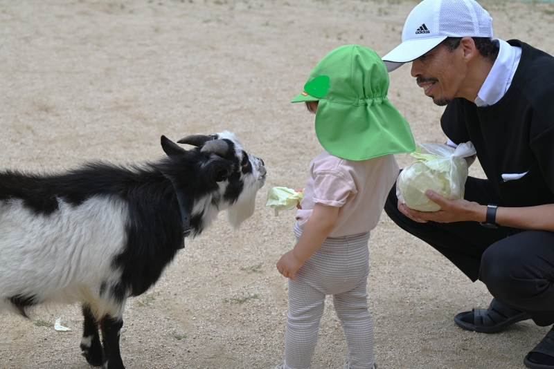 feeding the goats.JPG